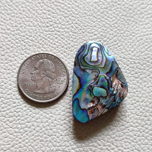 Natural Abalone Shell Gemstone  (51)