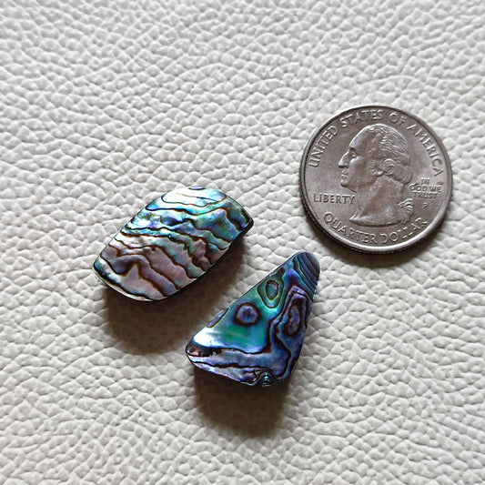 Natural Abalone Shell Gemstone (52)