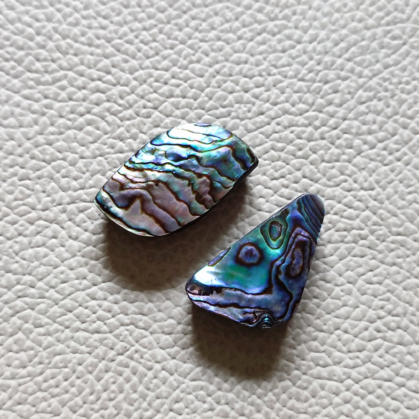 Natural Abalone Shell Gemstone (52)