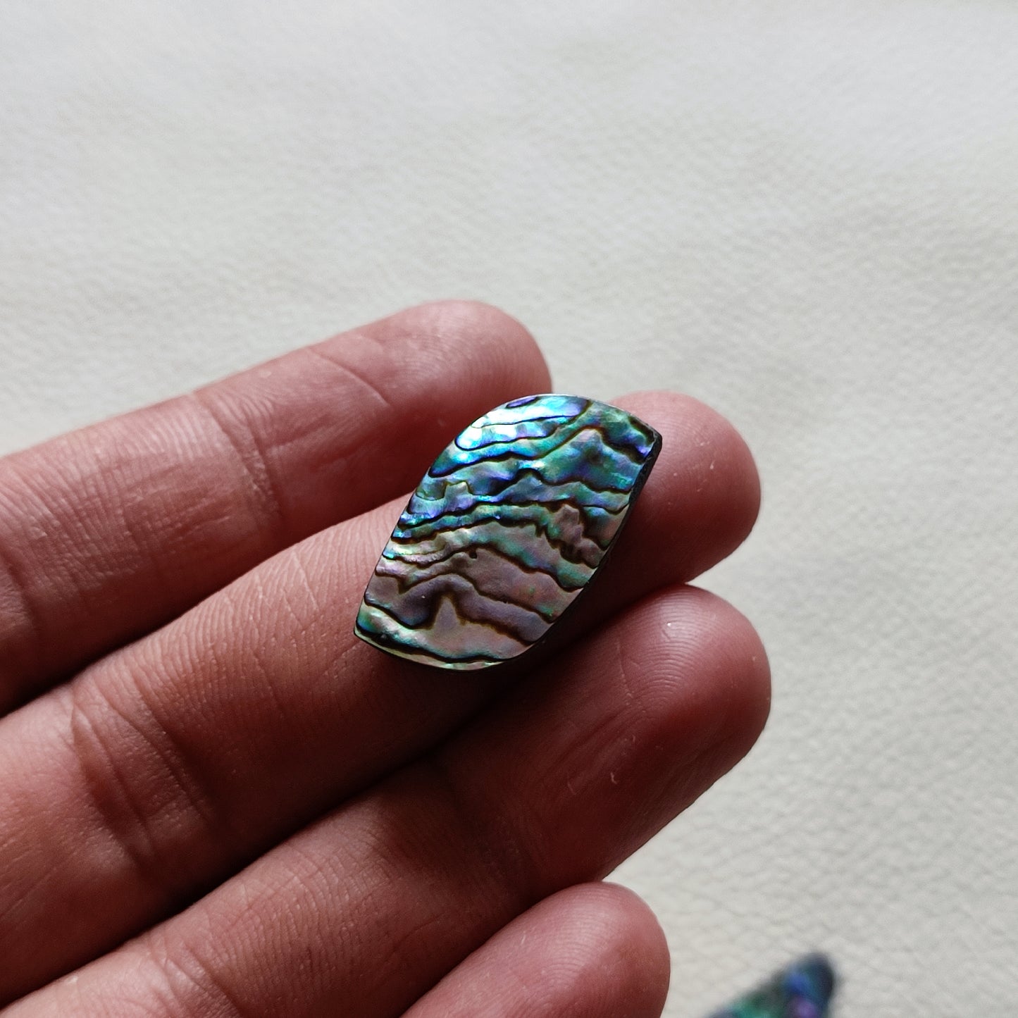 Natural Abalone Shell Gemstone (52)