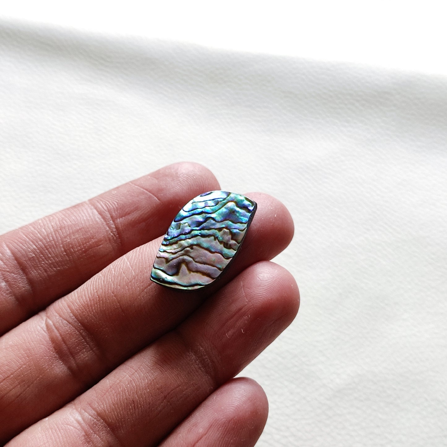 Natural Abalone Shell Gemstone (52)