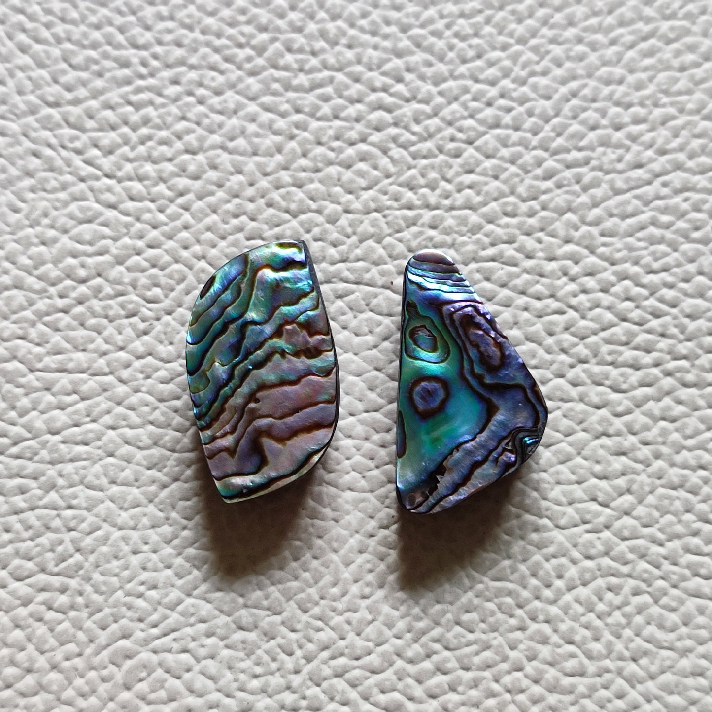 Natural Abalone Shell Gemstone (52)