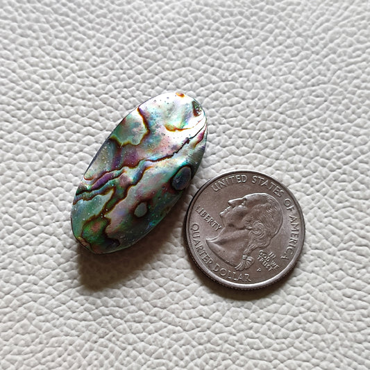 Natural Abalone Shell Gemstone 53