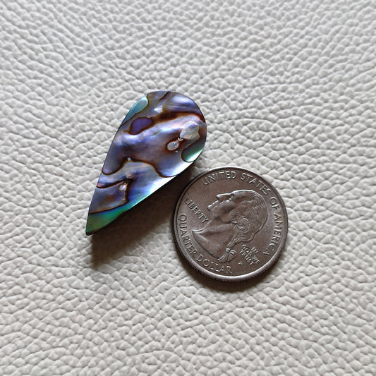 Natural Abalone Shell Gemstone (54)