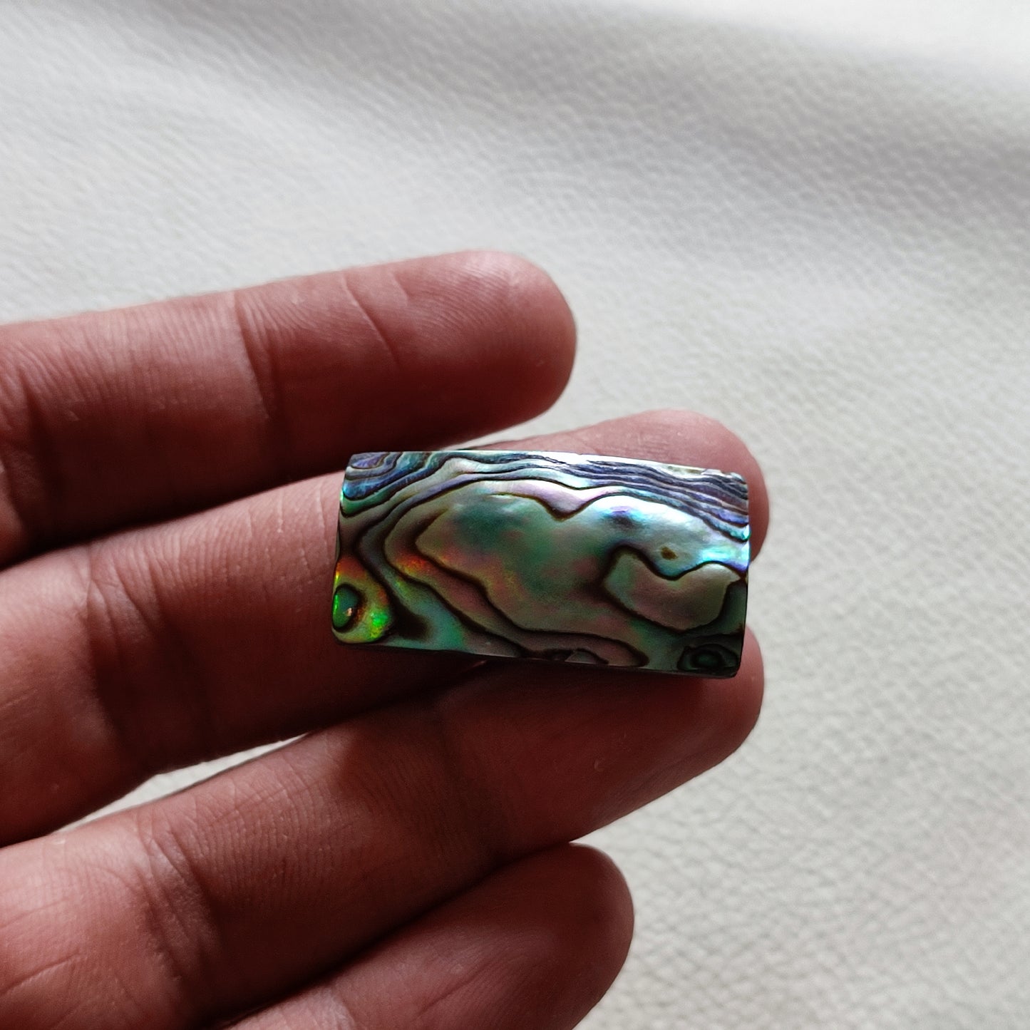 Natural Abalone Shell Gemstone (55)