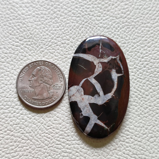 Natural Septarian Gemstone (65)