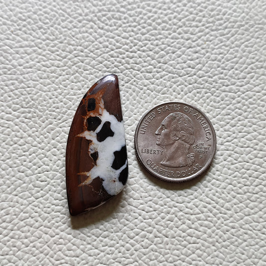 Natural Septarian Gemstone (67)