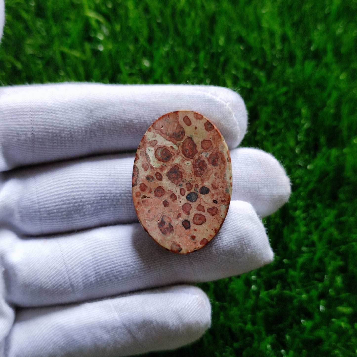 Natural Leopard Skin Cabochon Gemstone (A134)