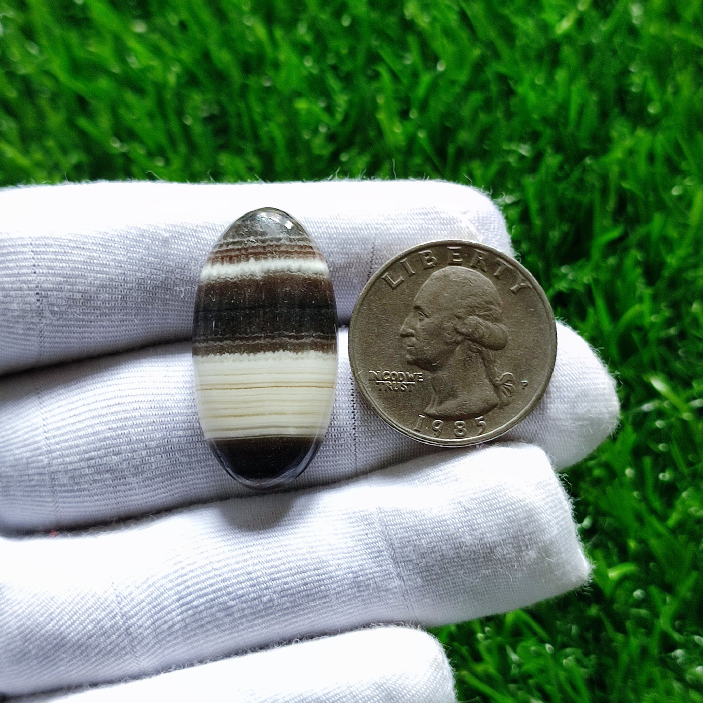 Natural Zebra Jasper Cabochon Gemstone (A137)